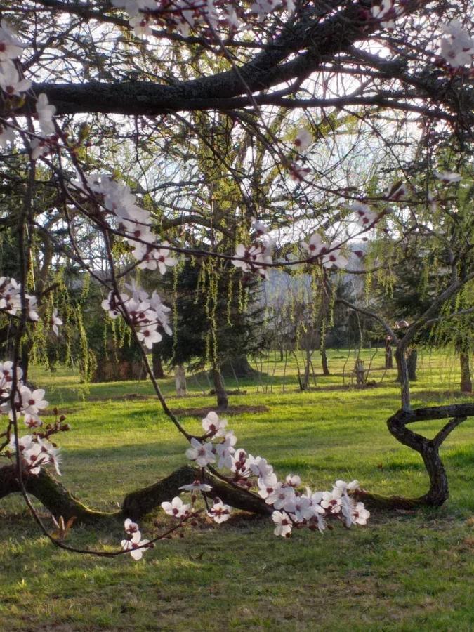 Bed and Breakfast Domaine Berenguer Ouches Exterior foto